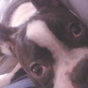 Meet your Posher, Kelly